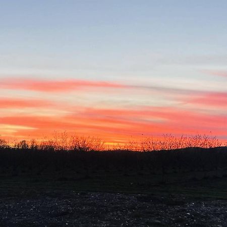 Jade'S View Estate Βίλα McMinnville Εξωτερικό φωτογραφία