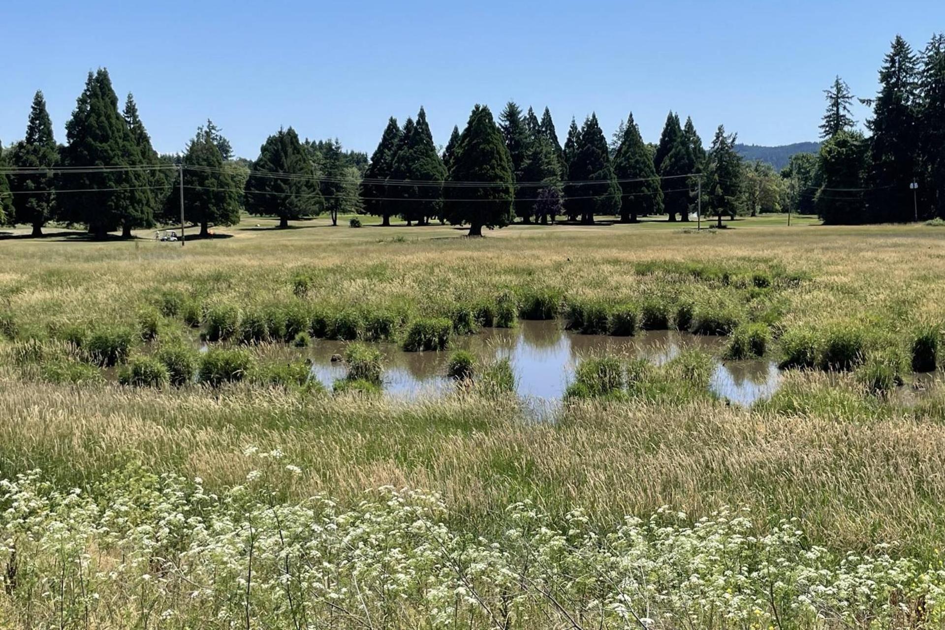 Jade'S View Estate Βίλα McMinnville Εξωτερικό φωτογραφία
